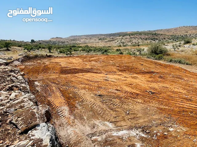 Farm Land for Sale in Tulkarm Kafr Sur