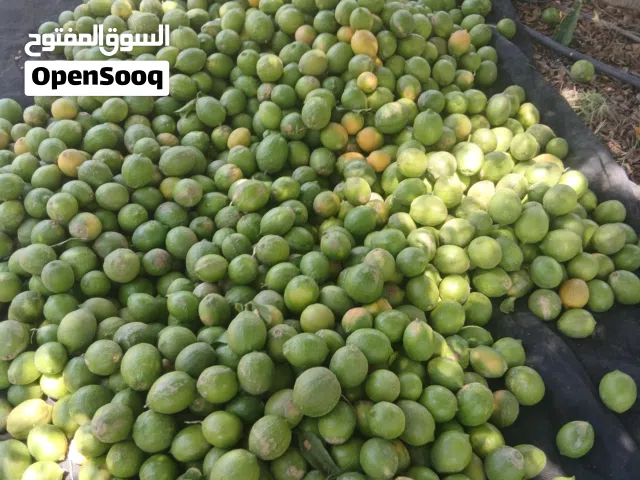ليمون نخب اول صحي غير مهرمن ولا يوجد به اي نوع سماد كيماوي