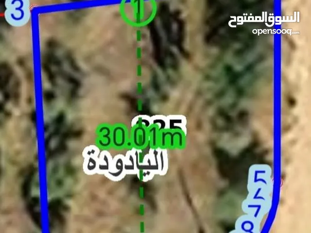 Residential Land for Sale in Amman Al Yadudah