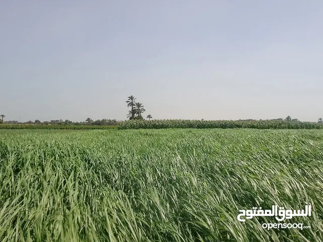 ارض للبيع مساحتها كبيره
