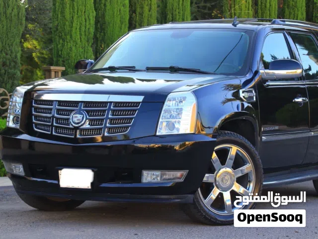 2009 Cadillac Escalade ESV