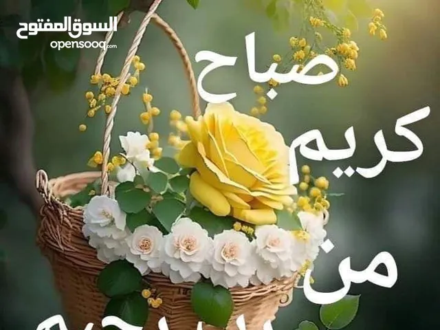مها سليم يغمور