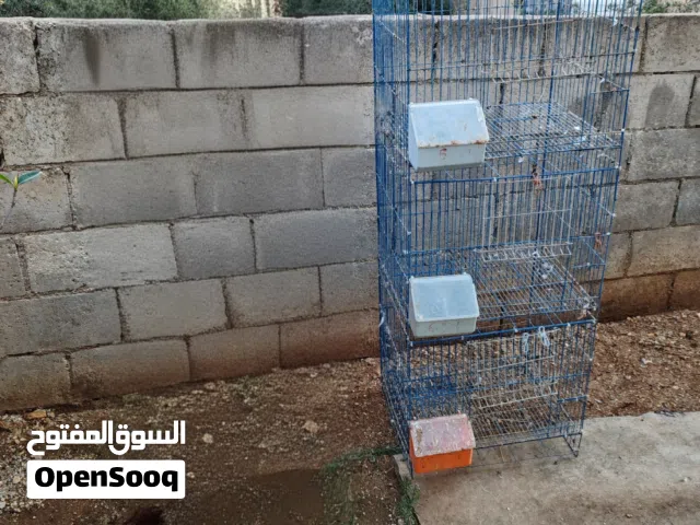 اقفاص قنون سلاكات