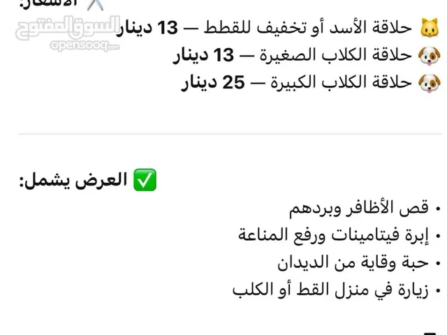 حلاقة وتطعيم قطط وكلاب في المنزل