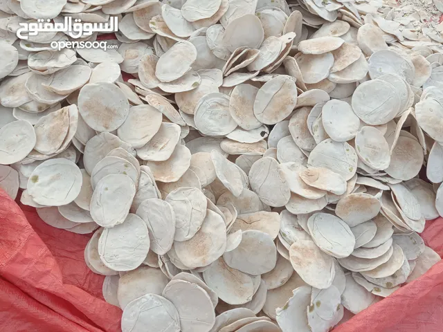 خبز يابس للبيع