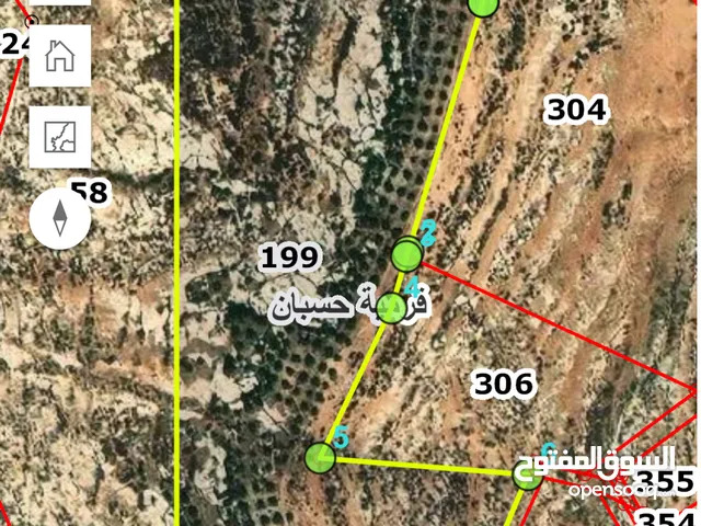 Farm Land for Sale in Amman Husban