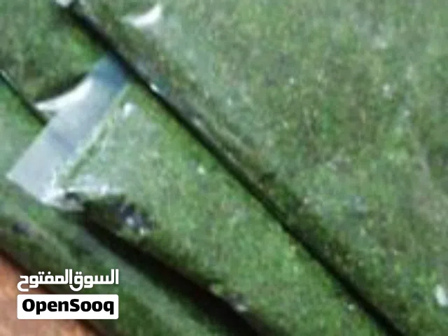 اكلات جاهزه