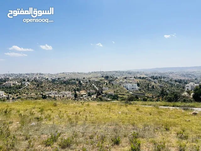 سوادة الجنوبي دونم 1000 م