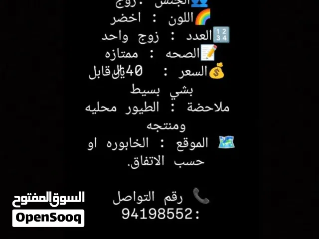 للبيع زوج دره