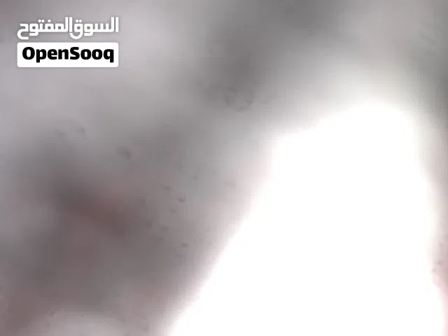 مرش سامسونج sm3خلفي يسار للبيع