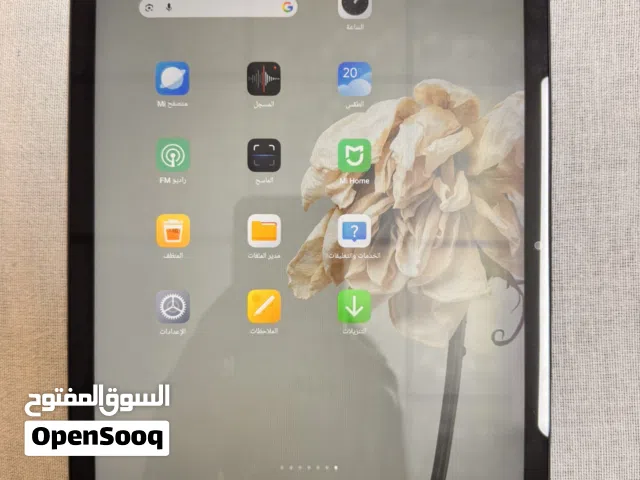 Apple iPad 256 GB in Erbil