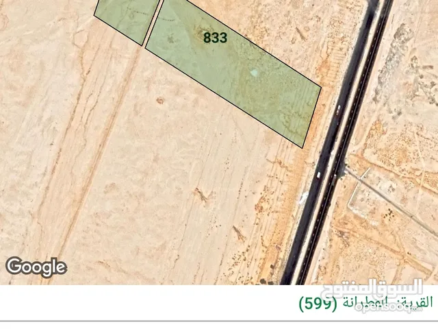 Farm Land for Sale in Al Karak Al-Qatraneh