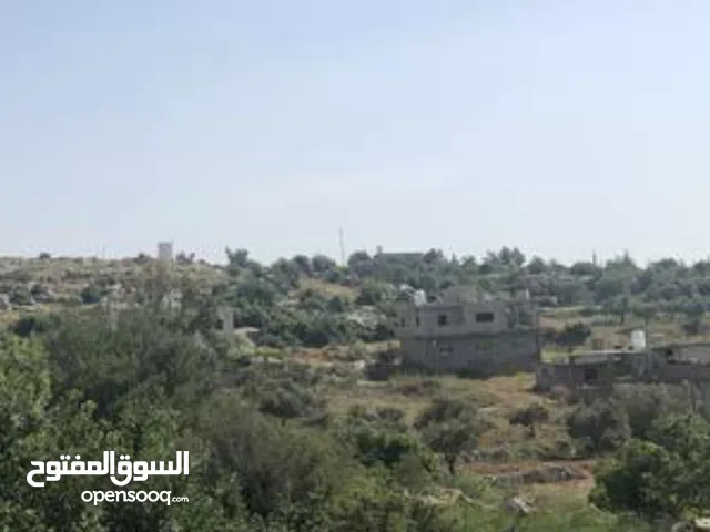 Residential Land for Sale in Ramallah and Al-Bireh Birzeit