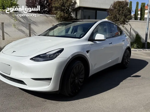 Tesla model Y dual motor