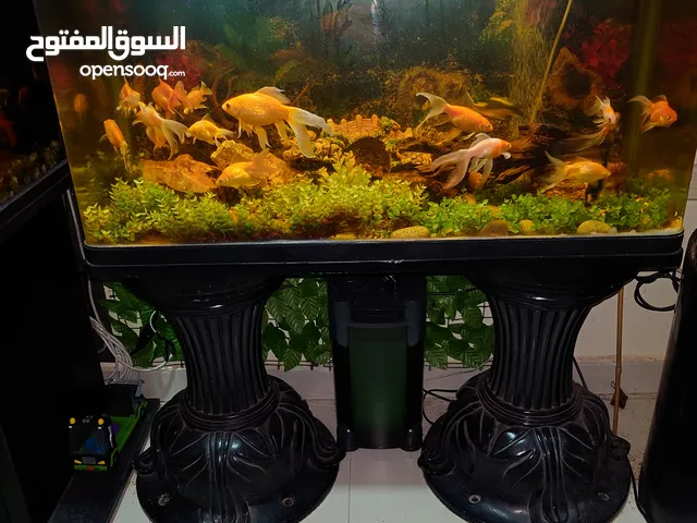 fish tank with stand