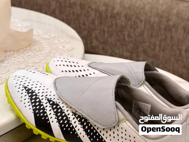 سبيدرو رياضي