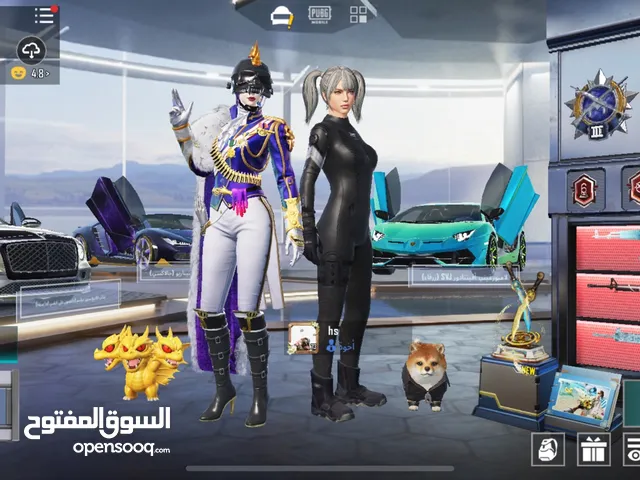 Pubg Accounts and Characters for Sale in Abu Dhabi