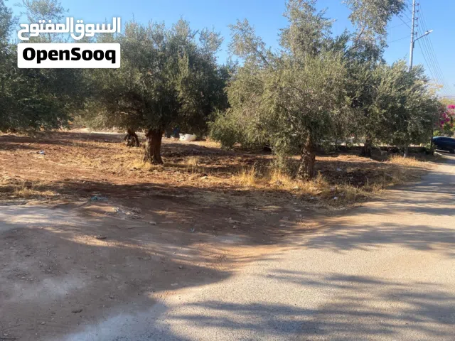 Residential Land for Sale in Salt Al Subeihi
