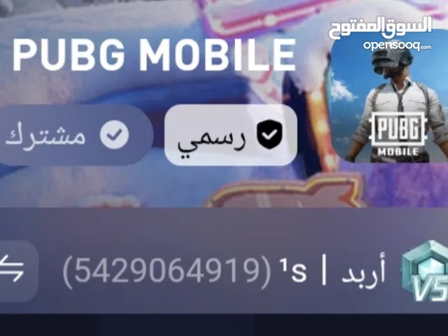 Pubg Accounts and Characters for Sale in Ramtha