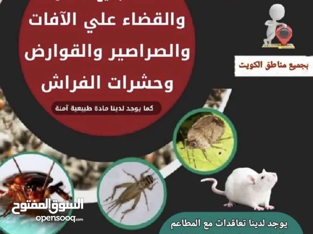 مكافحه حشرات وقوارض جميع مناق الكويت( انسب الاسعار)
