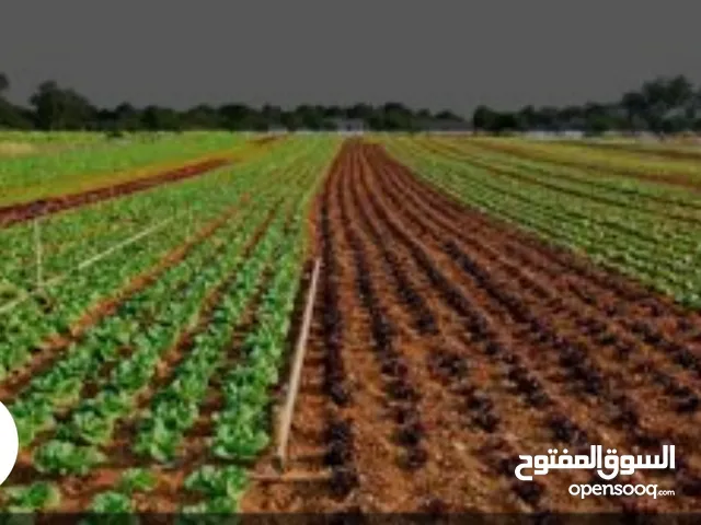 Mixed Use Land for Sale in Irbid Huwwarah