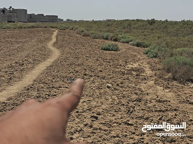 قطعة طابو زراعي اصولي للبيع