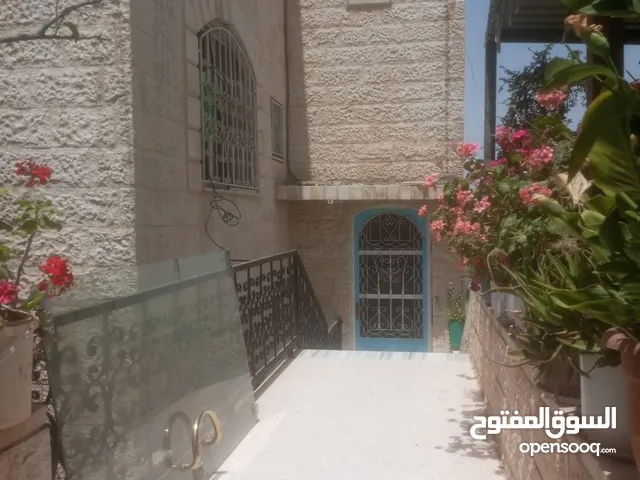 شقه للايجار لعائله صغيره ويفضل عرسان ويكون رب الأسرة موظف