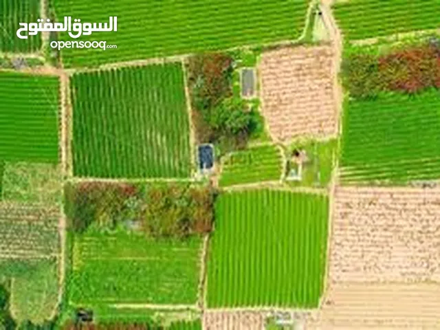 ارض للبيع المساحة (380).