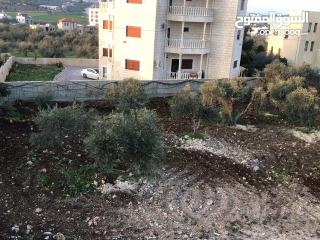 Mixed Use Land for Sale in Jenin Silat Al Harithiya