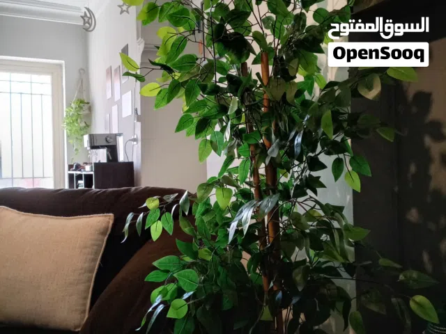 شجره صناعيه للبيع بسعر رمزي