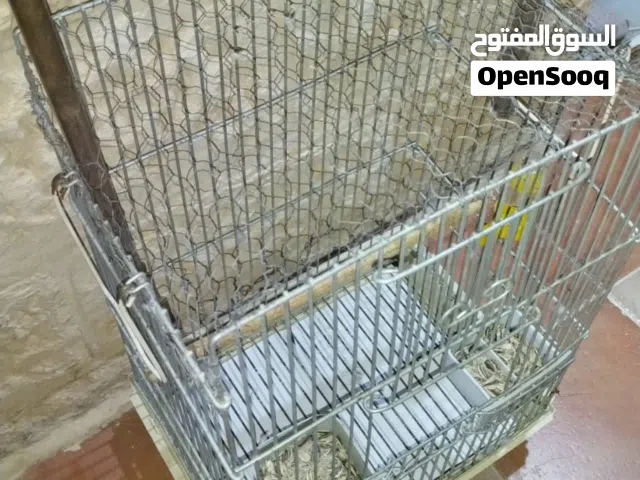 قفص ببغاء كاسكو