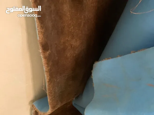 موكيت كبير 5×4 لون بني شبه جديد للبيع مع موكيت طويل بني كمان للممر