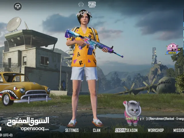 Pubg Accounts and Characters for Sale in Saladin