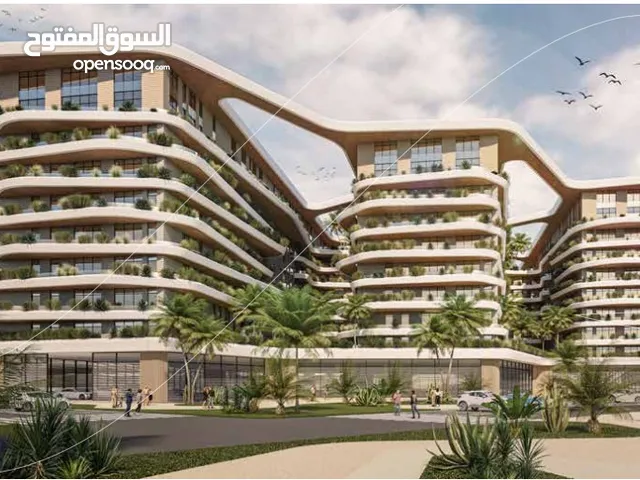 For Sale 1 Bhk Apartment Al Khoud   Free Hold property / Any Nationalities can buy.