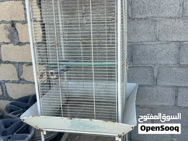 قفص كبير لي طيور ممتاز و نظيف