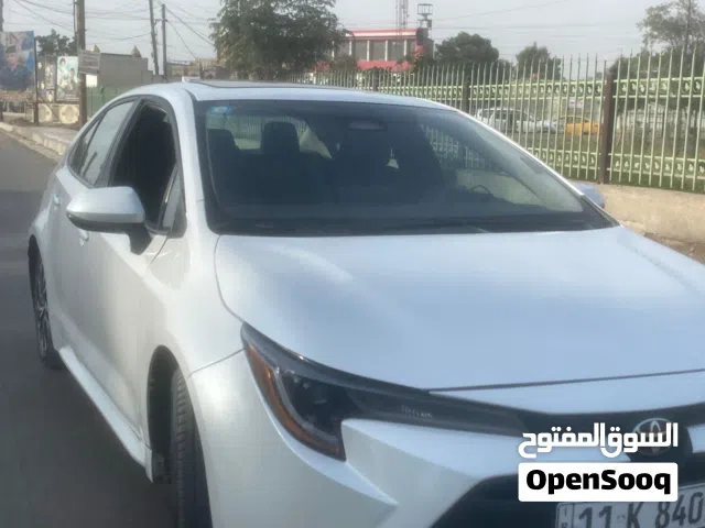 New Toyota Corolla in Baghdad
