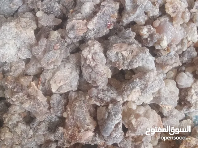 اللبان الحوجري واللبان الذكر متوفر بكميات اسعار مناسبه كما يوجد اسعار خاصه ب التجار افضل اسعار جمله