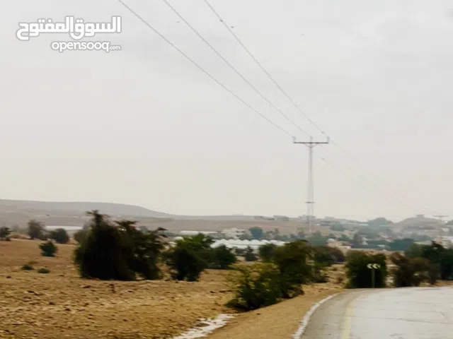 ارض تصنيف A مساحة دونم و 600 متر لتواصل الرجاء الاتصال بي