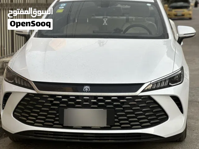 2025 بي واي دي كين