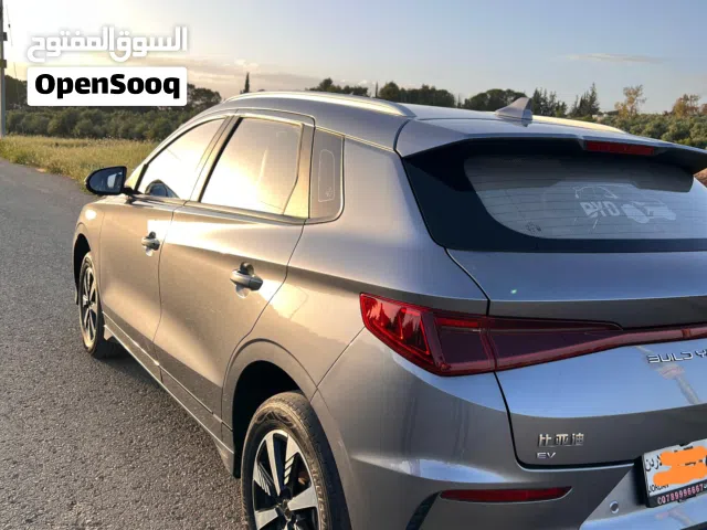 2024 BYD E2