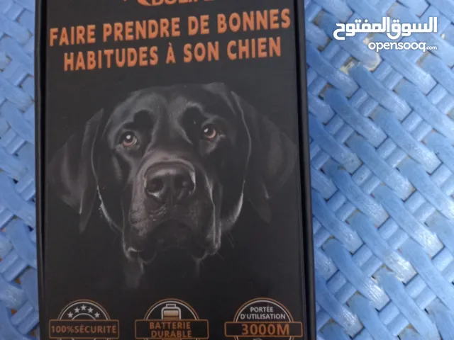 طوق كلاب تدريب