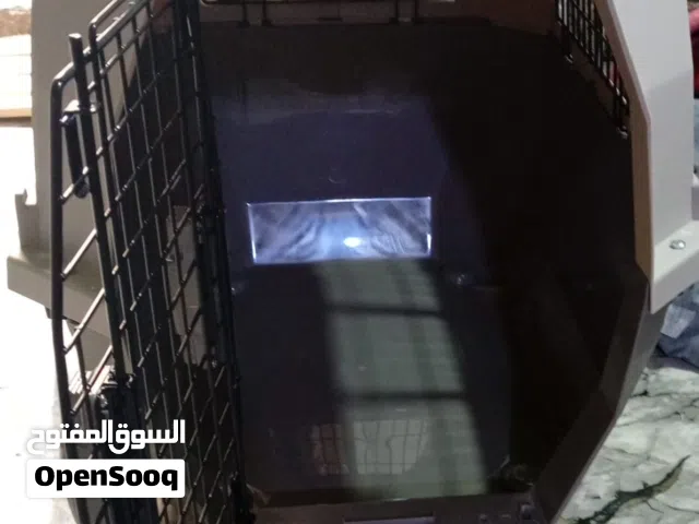 قصص للبيع كبير  ينفع قطاط او كلاب