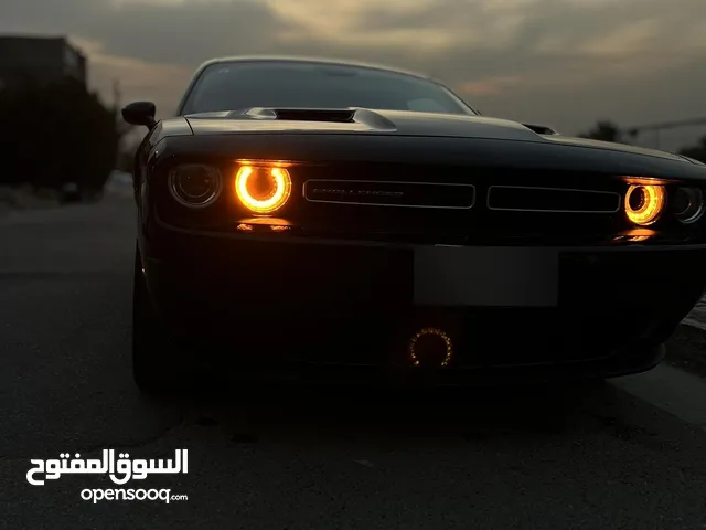 Used Dodge Challenger in Baghdad