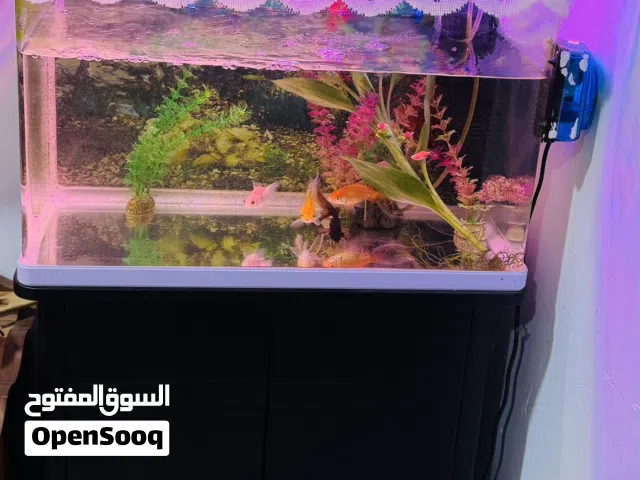 حوض سمك للبيع