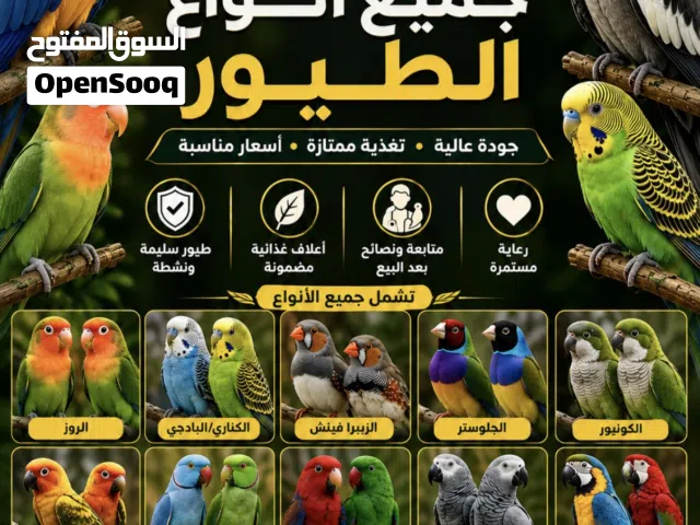 متوفر لدينا أغلب أنواع الطيور، وفي حال عدم توفر النوع المطلوب حالياً يمكننا توفيره لكم حسب الطلب