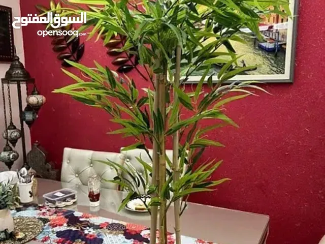 IKEA bamboo plant