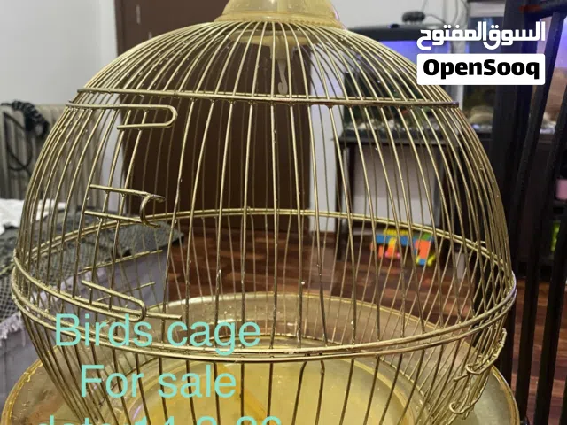 birds cage