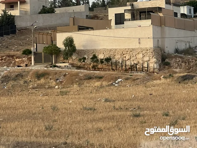 Farm Land for Sale in Jerash Unaybah