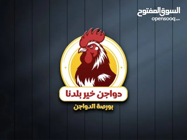 تصميم شعارات احترافية وبوسترات وهوية بصرية واعلانات سوشيال ميديا واي شي للدعاية والإعلان