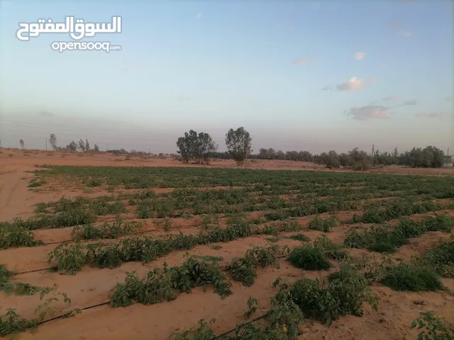 Mixed Use Land for Sale in Zawiya Western Zawiya